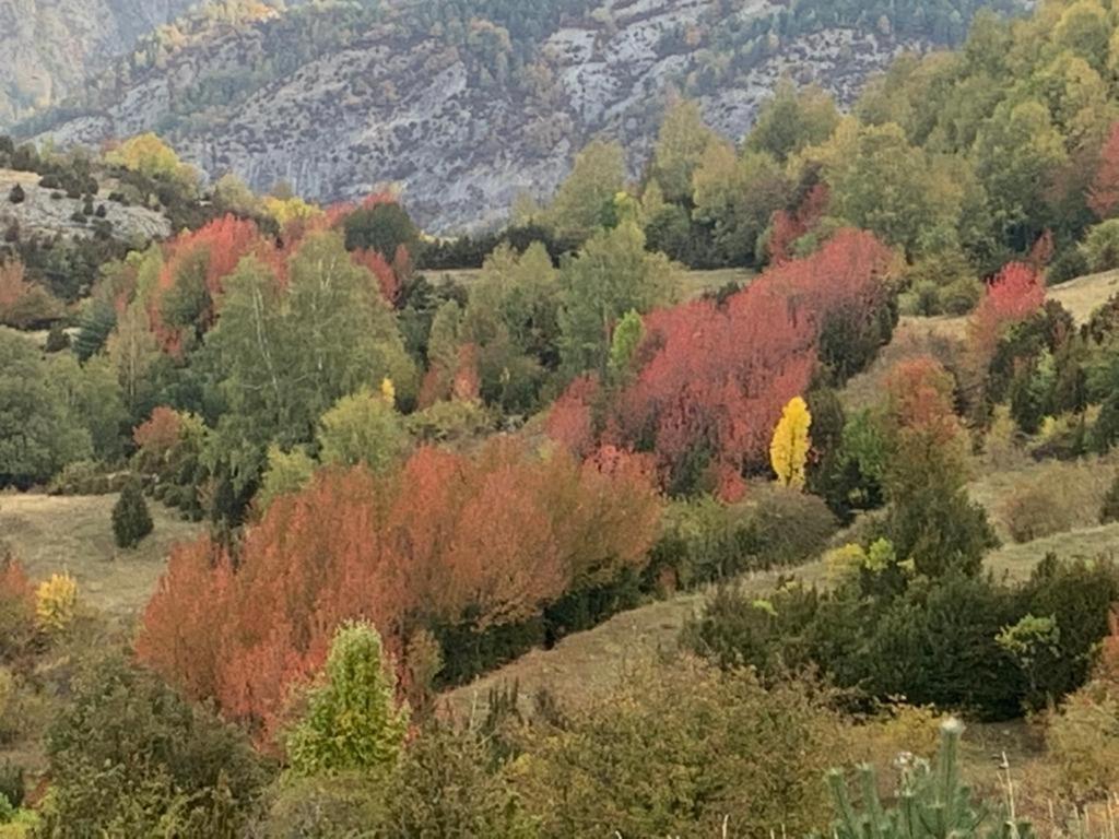 El Estacho De Panticosa Apartment Екстериор снимка
